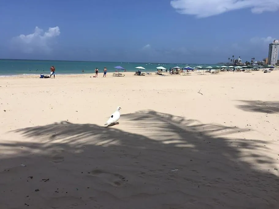Perla Roja Guesthouse San Juan